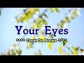 Your Eyes - Cook Da Books (KARAOKE VERSION)