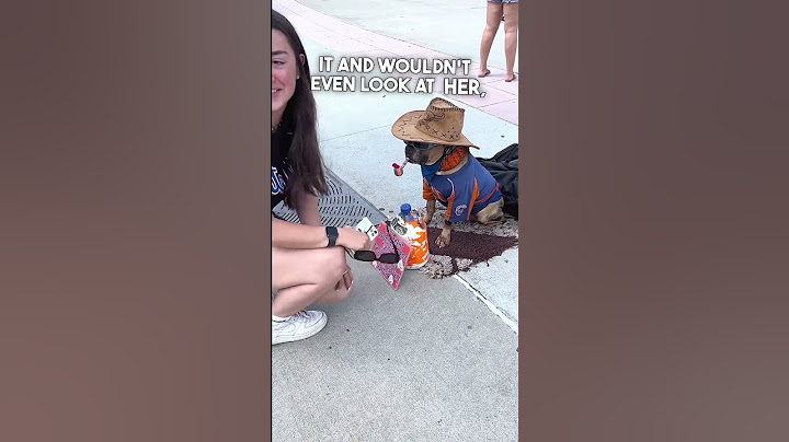 Dog Selling High Fives For a Dollar 😅