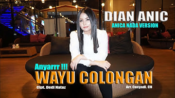 WAYU COLONGAN - DIAN ANIC NEW....!!! ANICA NADA VERSION SAIR