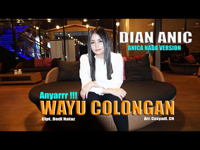 WAYU COLONGAN - DIAN ANIC NEW....!!! ANICA NADA VERSION SAIR class=