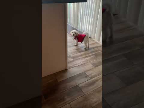 Making AStatement ReadyToEat