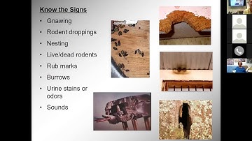 Control Rodents and Reduce Rodent-Borne Disease Risks
