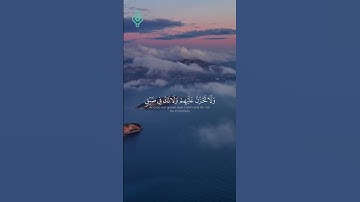 قران كريم خالد الجليل سوره النحل