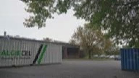 Danish pilot plant uses microalgae to convert carbon dioxide