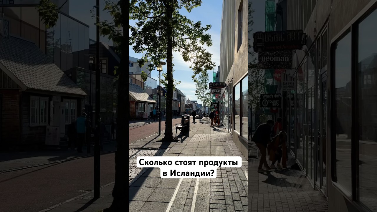 Стоимость продуктов в Исландии #travel #исландия #путешествия