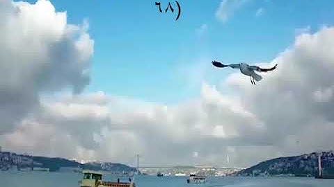 سورة المؤمنون (فارس عباد) مع كتابه الايات جوده عاليه