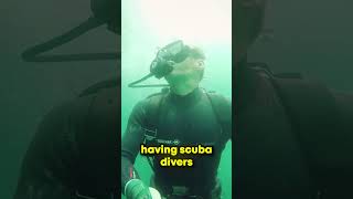 The Reason Monaco GP Still Hires Scuba Divers