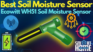 Best Soil Moisture Sensor on the Market - ECOWITT WH51 SOIL MOISTURE SENSOR