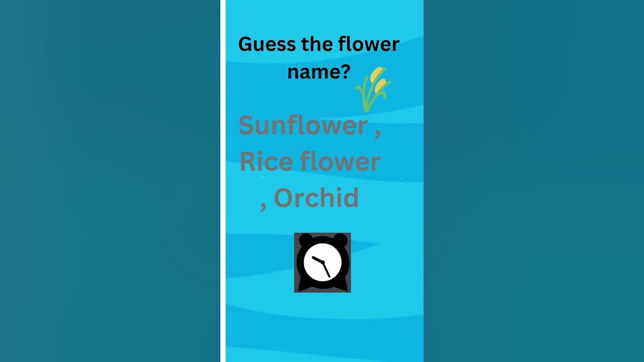 GUESS THE FLOWER NAME quizzes bestvideo quizzing shortsvideo 