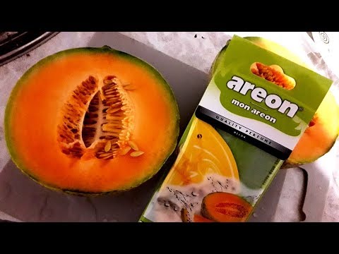 Ароматизаторы Areon в машину: какой купить, как пользоваться, отзывы