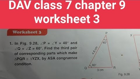 DAV class 7 chapter 9 worksheet 3 ।Class 7 maths chapter 9 worksheet 3 dav public school