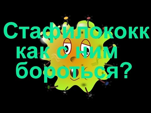 Стафилококковая инфекция, как с ней бороться