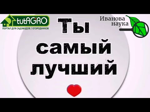 Ты - лучший! У кого самая лучшая рассада, сад, цветник и огород конечно, у тебя, мой зритель!