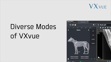 VXvue Quick Guide 06. Diverse Modes of VXvue