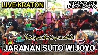 jaranan barongan kucingan ndadi!!! SUTO WIJOYO LIVE KRATON
