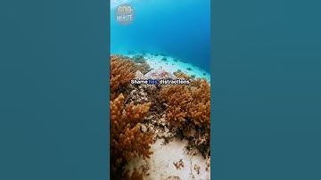 Taking Every Thought Captive - 2 Corinthians 10:5