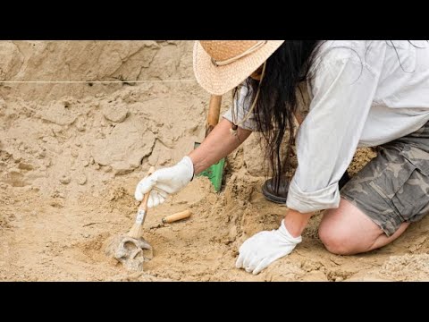 Video: Bir Arkeolog Nasıl çalışır?