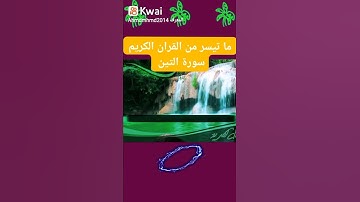 ما تيسر من القران الكريم سورة التين