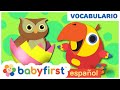 Huevos Sorpresa con Larry el Loro | Aprender Sonidos de Animales para Niños | Baby First TV Español