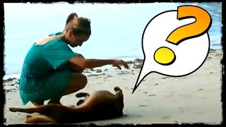 WTF WE FOUND ON THIS BEACH ?!!! @ViralBrothersVLOGS