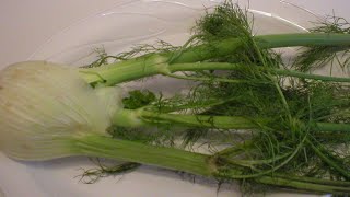 Fennel 101 - Nutrition Information and Health Benefits of Fennel