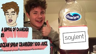 A Sip of Chandler #1: Ocean Spray 100% Juice Cranberry REVIEW