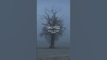 القرآن_الكريم سورة النصر #ماهر_المعيقلي #قران_كريم #اكسبلور