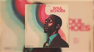 Soul Echoes Sample Pack - Samples for Hip Hop Beats