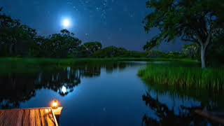 Moonlit River Rain Sounds,10 hr Deep Sleep 🌙 | Relaxing Music, Night Birds & Calming Nature Ambience