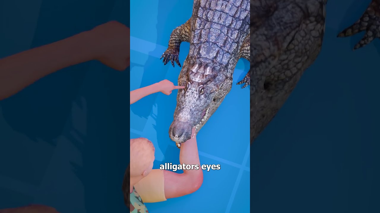 How To Escape An Alligator Death Roll 