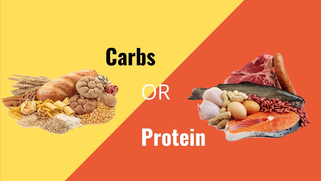 Carbs or Protein? Where does a tennis player need to focus more l Ryan