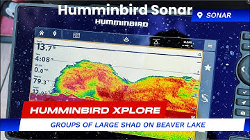 Massive ball of shad on Humminbird XPLORE unit