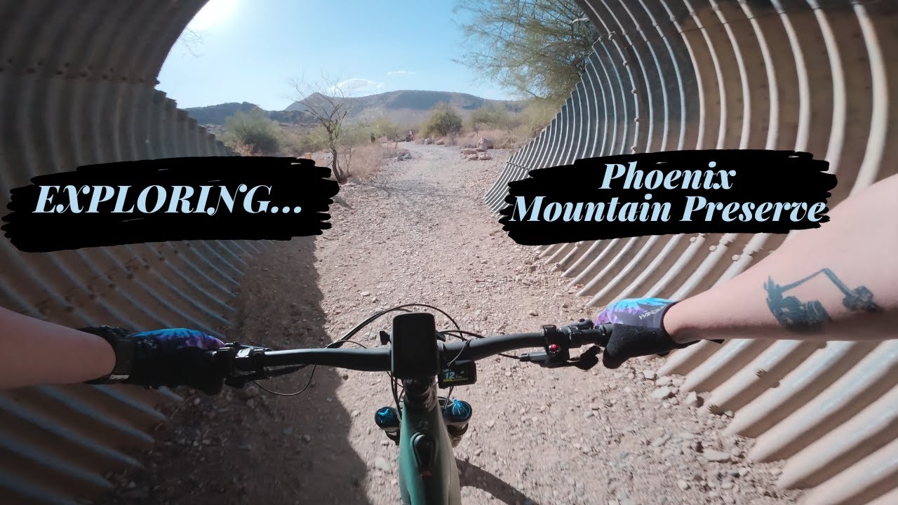 Phoenix Mountain Preserve: Exploring Trail 100 On A Mountain Bike - YouTube