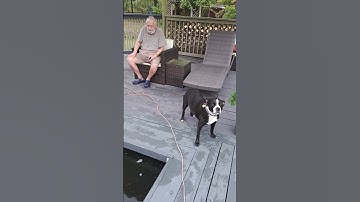 TurboVids - KOI Pond Bog Filter Cleanout after a year pt.1