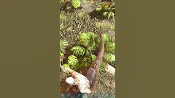 Ark Survival Evolved but it