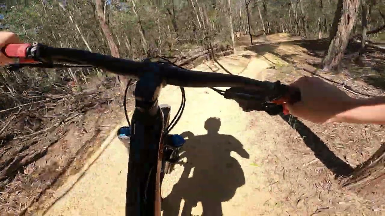 Lagoon MTB new trails - Blue trail called Blue Gum