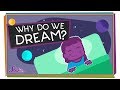 Why Do We Dream?