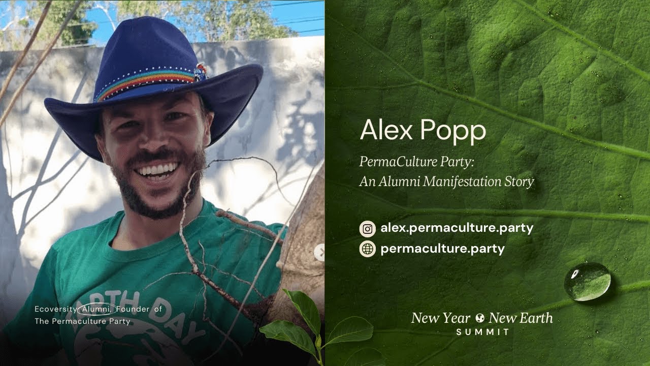 Новый год, саммит «Новая Земля» (20-22 января) с участием Алекса Поппа.