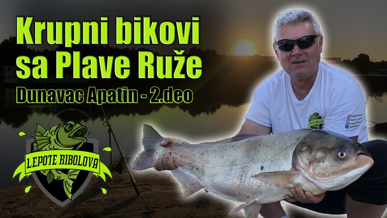 Pecanje tolstolobika na tehnoplankton - 2.deo | dunavac, Apatin - Plava Ruža | Lepote Ribolova ep.43