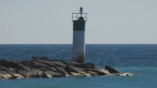 Relaxing Ocean Waves & Seagull Sounds For Sleeping ~ Marine Gust Birds Wind Beach Shore Sea Ambience by Sounds4Sleeping 14,325 views 3 years ago 2 hours, 30 minutes