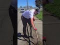 Yard Transformation Like a Pro #yardwork #landscaping
