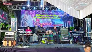 CAMELIA MUSIC 01 CEK SOUND - WEDDING WILDAN & JANNAH - WEDUSAN DUKUHSETI PATI