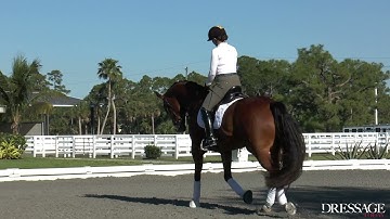 Dressage Today OnDemand with George Williams: Kindergarten Exercises, Phase 1