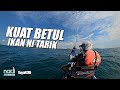 3 JAM LEBIH KAYUH LAWAN ARUS ! NAK MENANGIS😭😭😭 | Kayak Fishing ZERO to HERO! v79