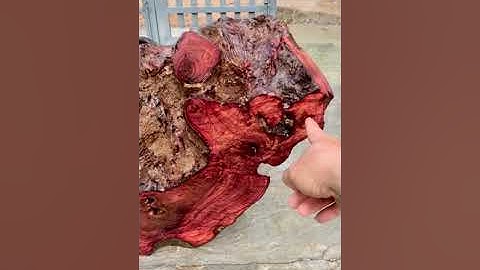 Gốc trắc dây chun sụn toàn thân 46kg kt trong vd bác nào thiện chí lh 0338918991