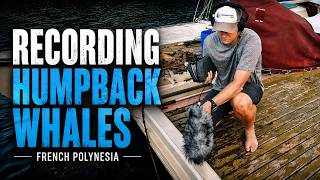 Recording the Hidden Songs of Humpback Whales | French Polynesia with Thomas Rex Beverly