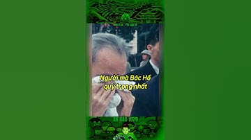 NGƯỜI MÀ BÁC HỒ QUÝ TRỌNG NHẤT… #bảocócvlog #bacho #bảocóc #baococvlogboss #shorts #lichsuvietnam