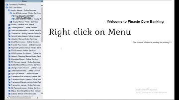 Add Menu to Favorites in Finacle 10