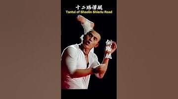 少林十二路谭腿外摆腿+侧踢腿 External Swing Kick + Side Kick in Shaolin Twelve-Road Tantu Legs  #kungfu #shaolin