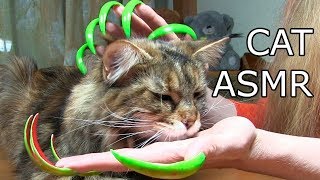 Best CAT ASMR triggers nail tapping asmr long nail sound Best CAT ASMR triggers nail tapping asmr long nail sound